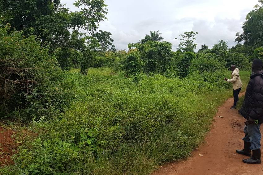 An acre for sale in Vumba in Luwero District