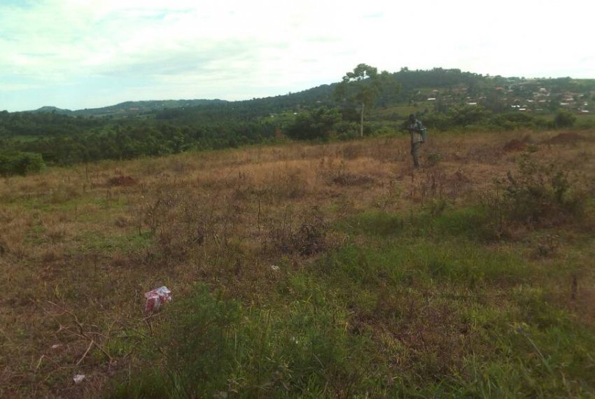 Acre of land for sale in Maya in Wakiso District