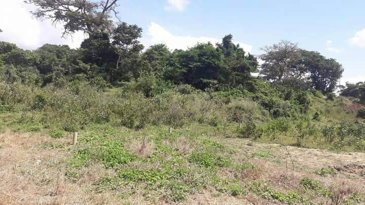 70 Acres Touching Water in Entebbe in Wakiso District