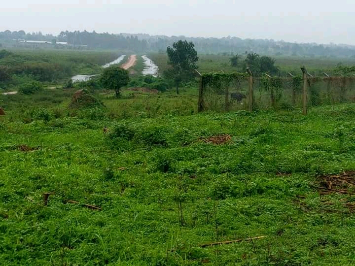 20 acres of land in Busika at 22m per acre in Luwero District