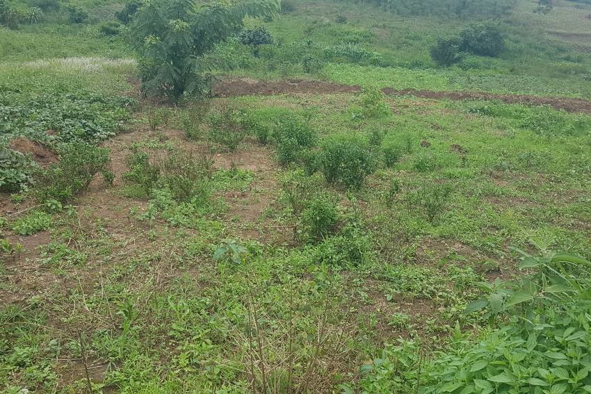 3 acres in Buwambo, Lugo in Wakiso District