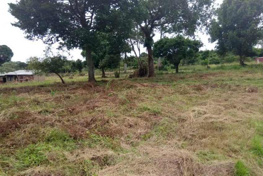 Land for sale 3 acres touching on lake Victoria at 350m each in Kampala District