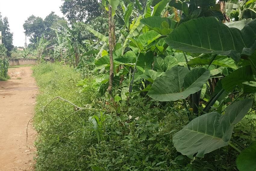 Half an acre for sale in Kyanja in Kampala District