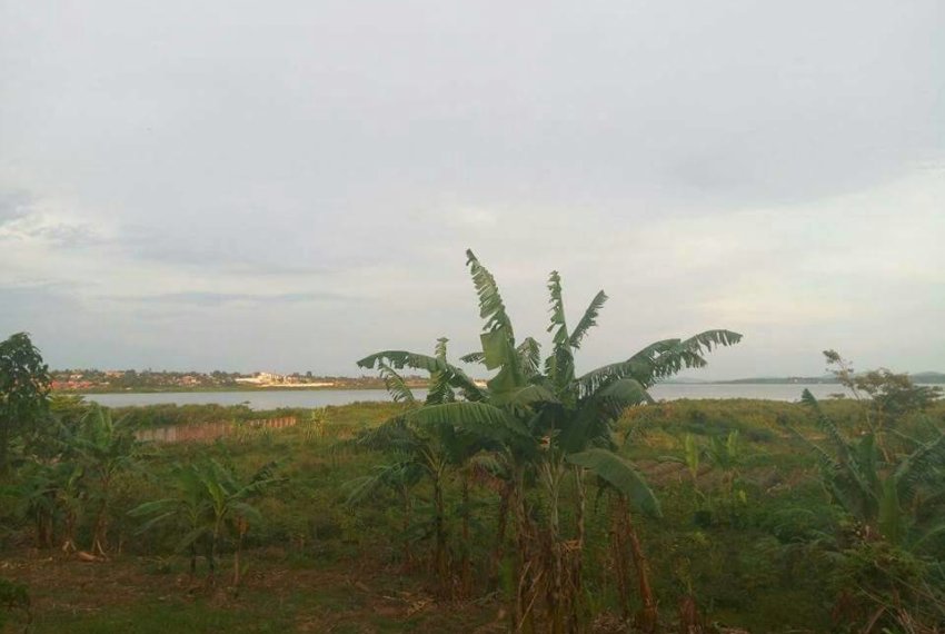 2 ACRES AND 70 DECIMALS FOR SALE ALL AT ONCE IN MUYENGA in Kampala District