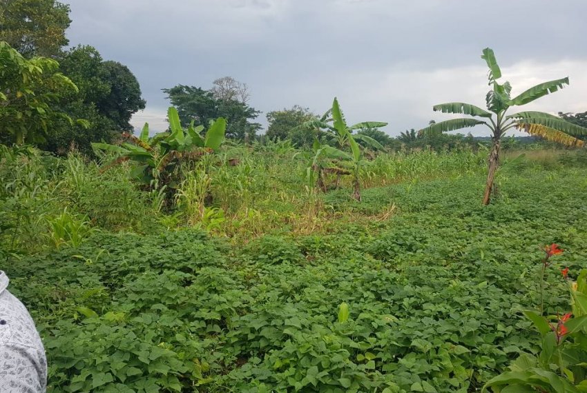 4acres in Busika Koko in Luwero District