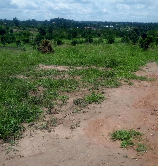 2 acres of land for sale in Kiwenda at 60m in Wakiso District