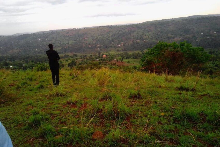 15 acres for sale in Mpigi in Mpigi District