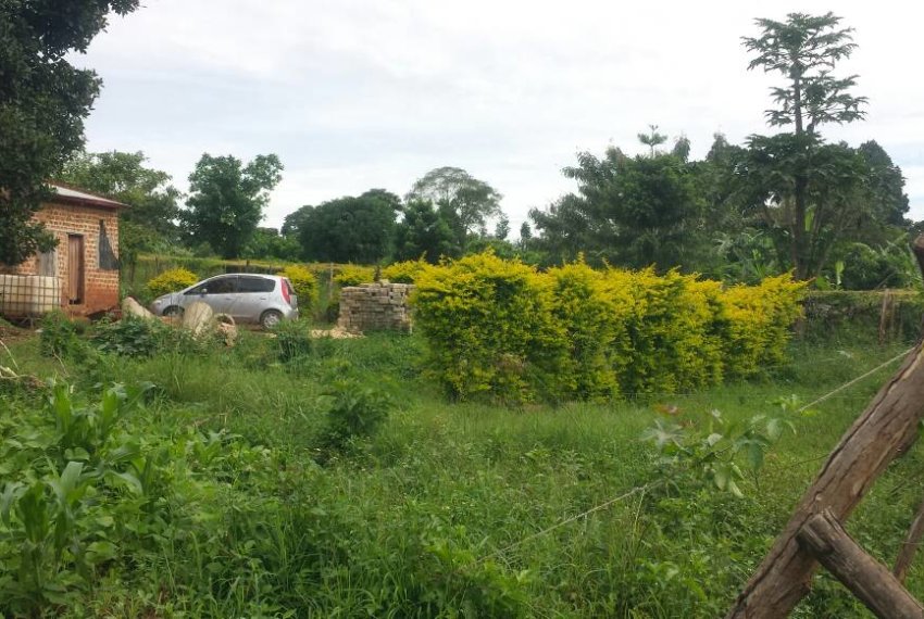 2.5 ACRES OF LAND FOR SALE IN KABEMBE MUKONO in Mukono District